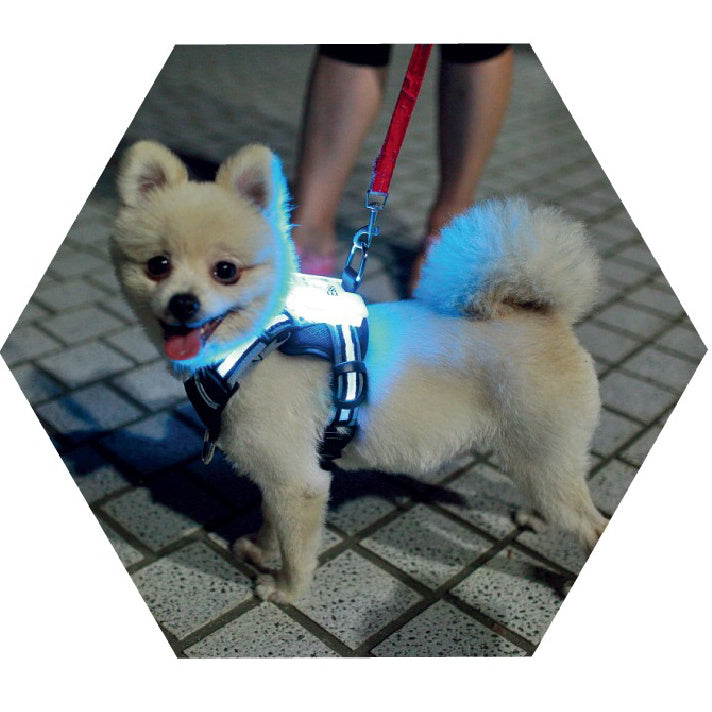 Led Hundegeschirr