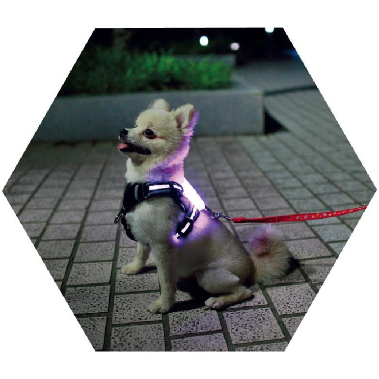 Led Hundegeschirr