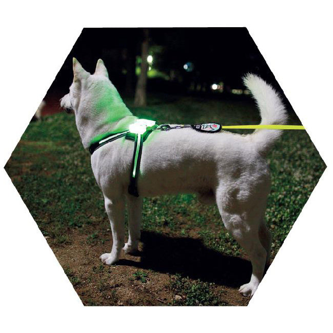 Led Hundegeschirr